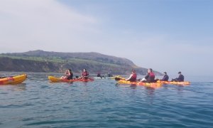 Kayaking From Greystones Along The North Wicklow Coastline